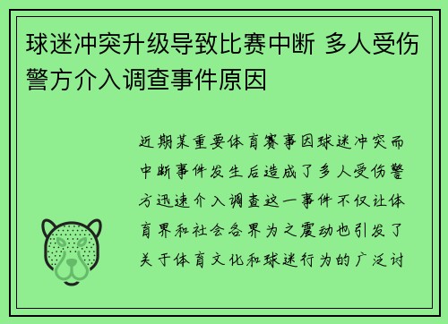 球迷冲突升级导致比赛中断 多人受伤警方介入调查事件原因