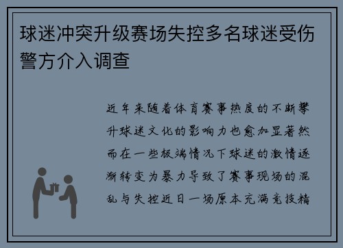 球迷冲突升级赛场失控多名球迷受伤警方介入调查